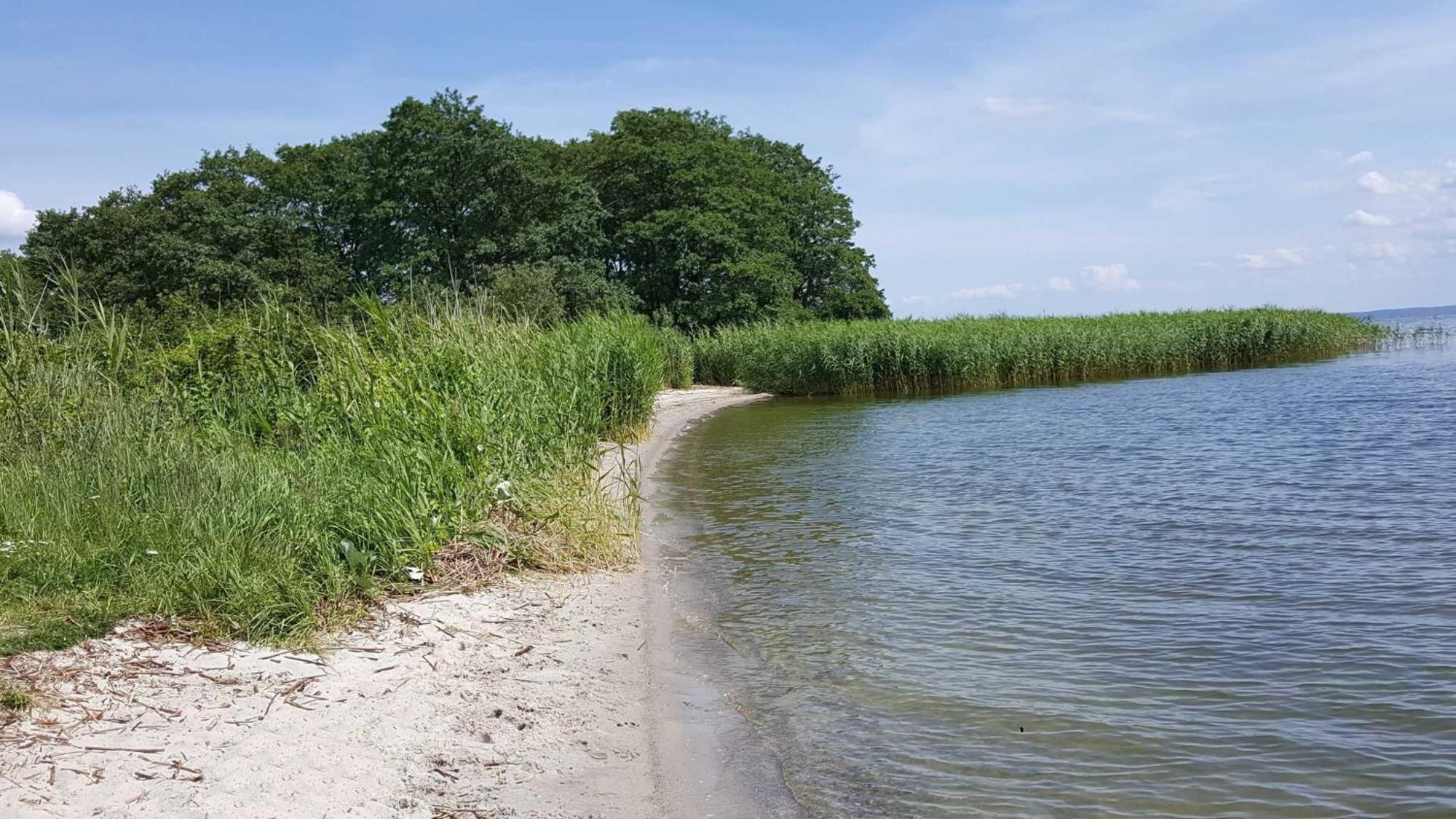 Schilfperle - Oase Am Haff * Garz (Usedom)